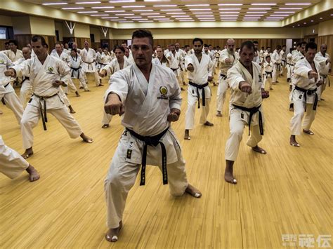 Auch wenn die Unterschiede berwiegend eher gering sind, hat doch jede Stilrichtung ihre Spezifika. . Japanese shotokan karate
